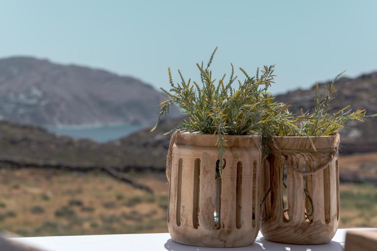 Anemela Villas & Suites Mykonos Agrari  Extérieur photo