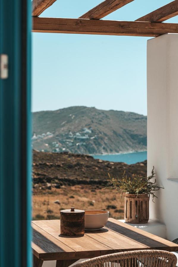 Anemela Villas & Suites Mykonos Agrari  Extérieur photo