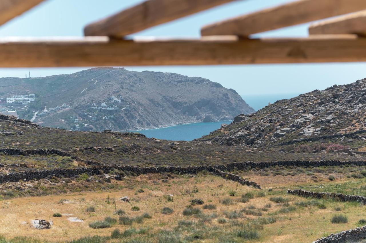 Anemela Villas & Suites Mykonos Agrari  Extérieur photo